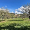 Apfelgarten2 Vorschau